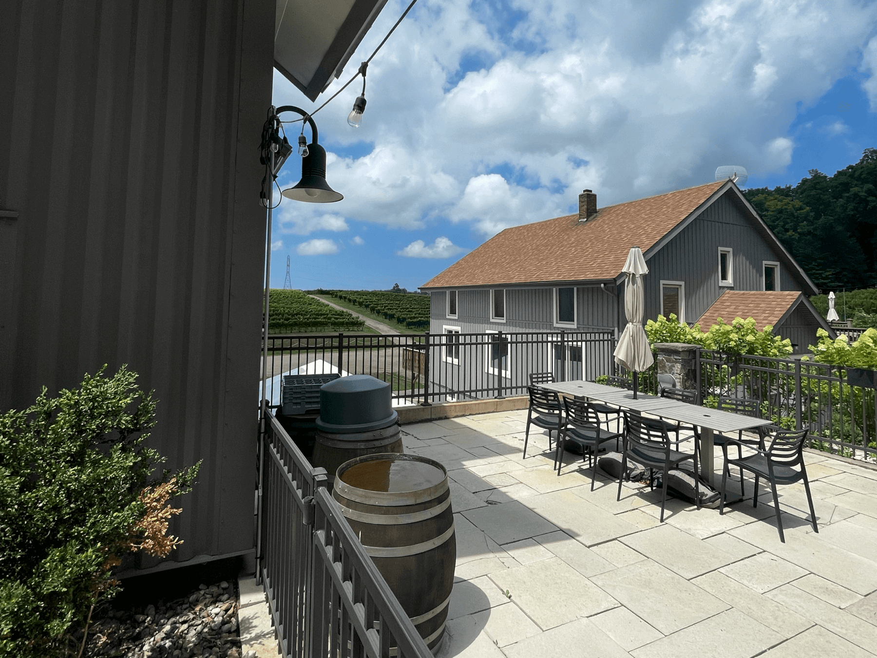 Best Wineries in Berrien County MI